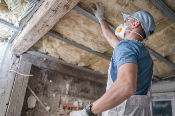 Best Residential Insulation in Adrian, MO