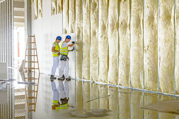 Best Spray Foam Insulation in Adrian, MO